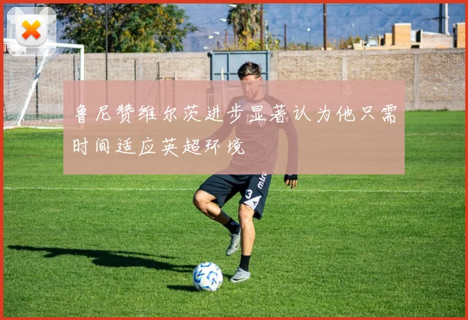 鲁尼赞维尔茨进步显著认为他只需时间适应英超环境