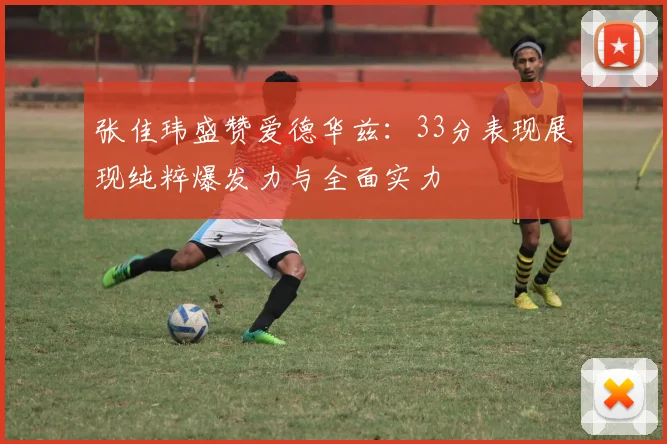 张佳玮盛赞爱德华兹：33分表现展现纯粹爆发力与全面实力