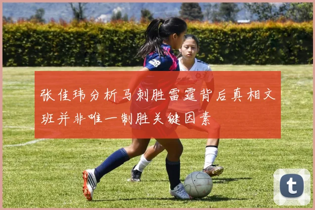 张佳玮分析马刺胜雷霆背后真相文班并非唯一制胜关键因素