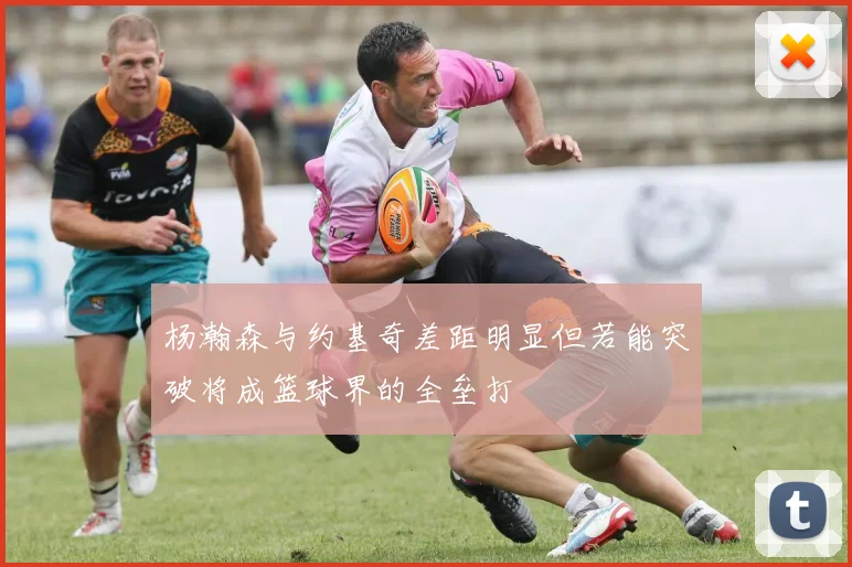 杨瀚森与约基奇差距明显但若能突破将成篮球界的全垒打
