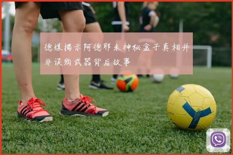 德媒揭示阿德耶米神秘盒子真相并非误购武器背后故事
