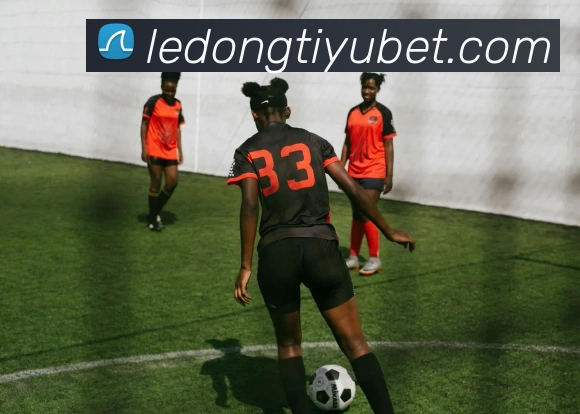 乐动体育平台生态图